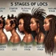 Stages of Locs